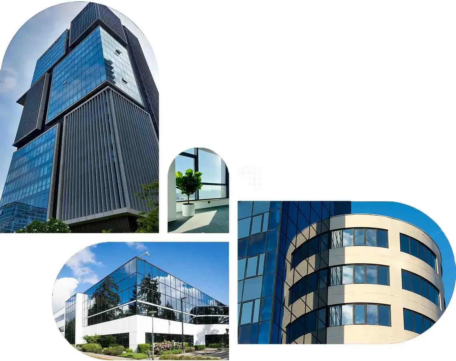 عالم الزجاج والمرايا